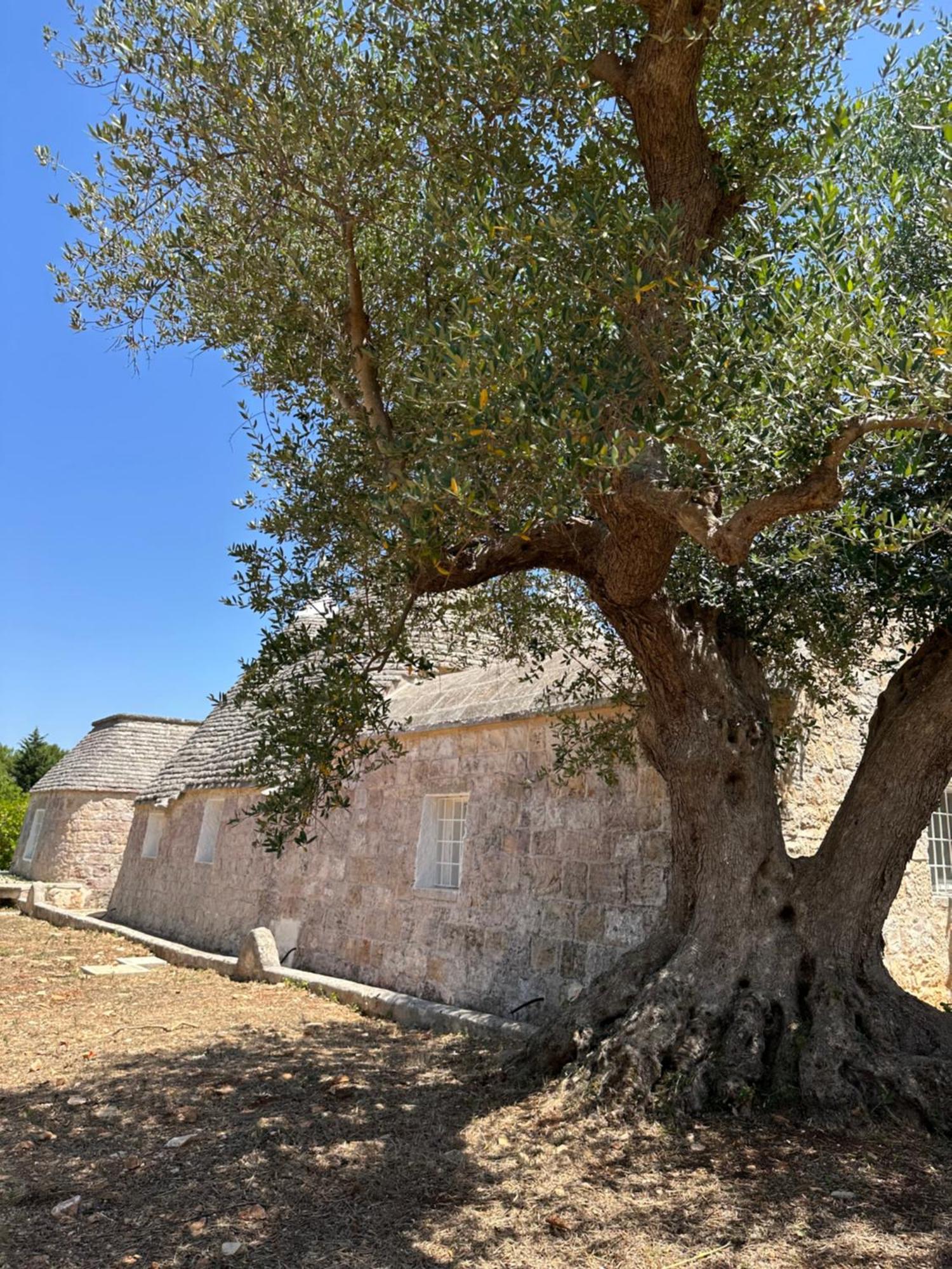 Trullo Claf Villa ออสตูนี ภายนอก รูปภาพ